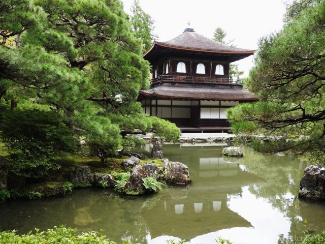 Egy álom valóra vált - Seba Japánban 09